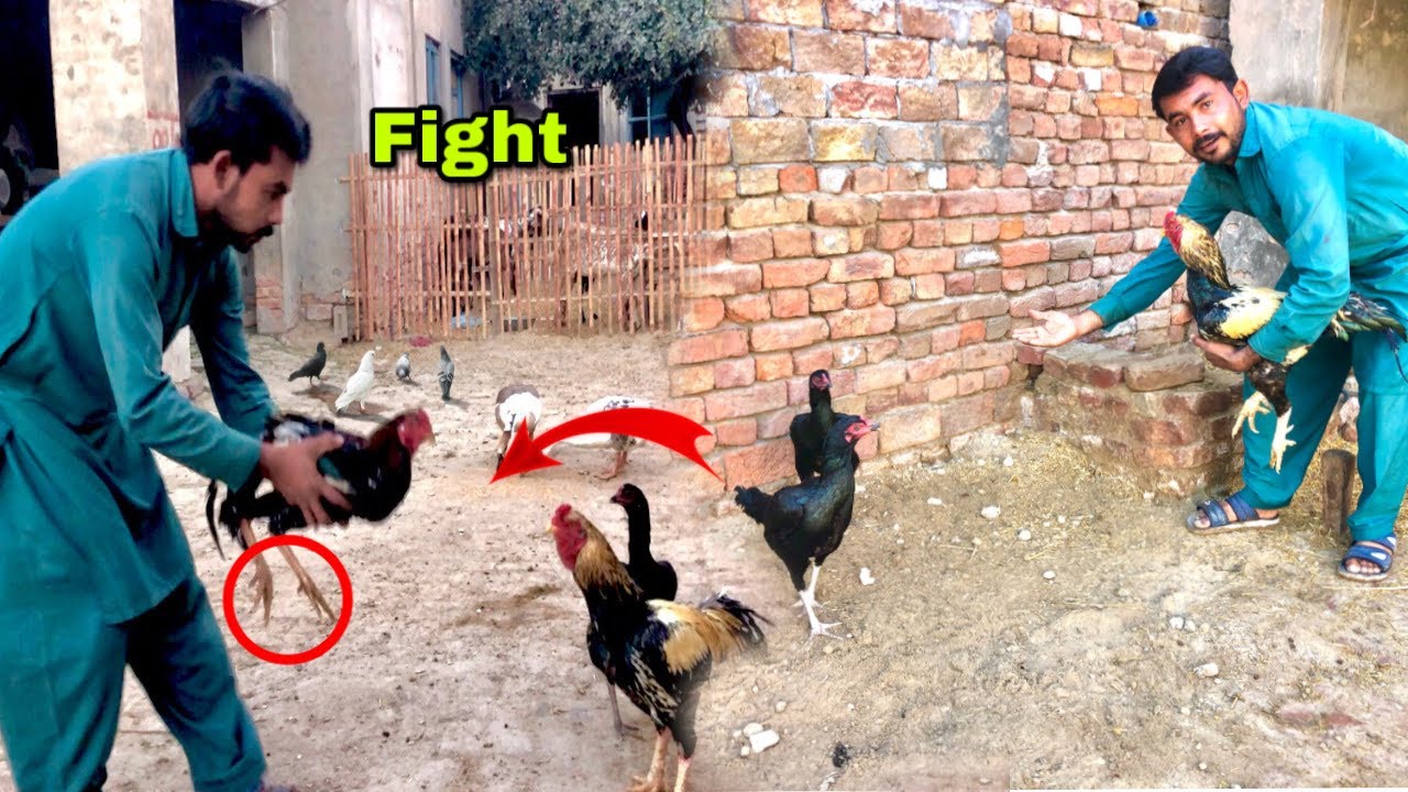 Baadshah Ki Wife Pay Kubza kar lia😱|| Fight ho gay 😢