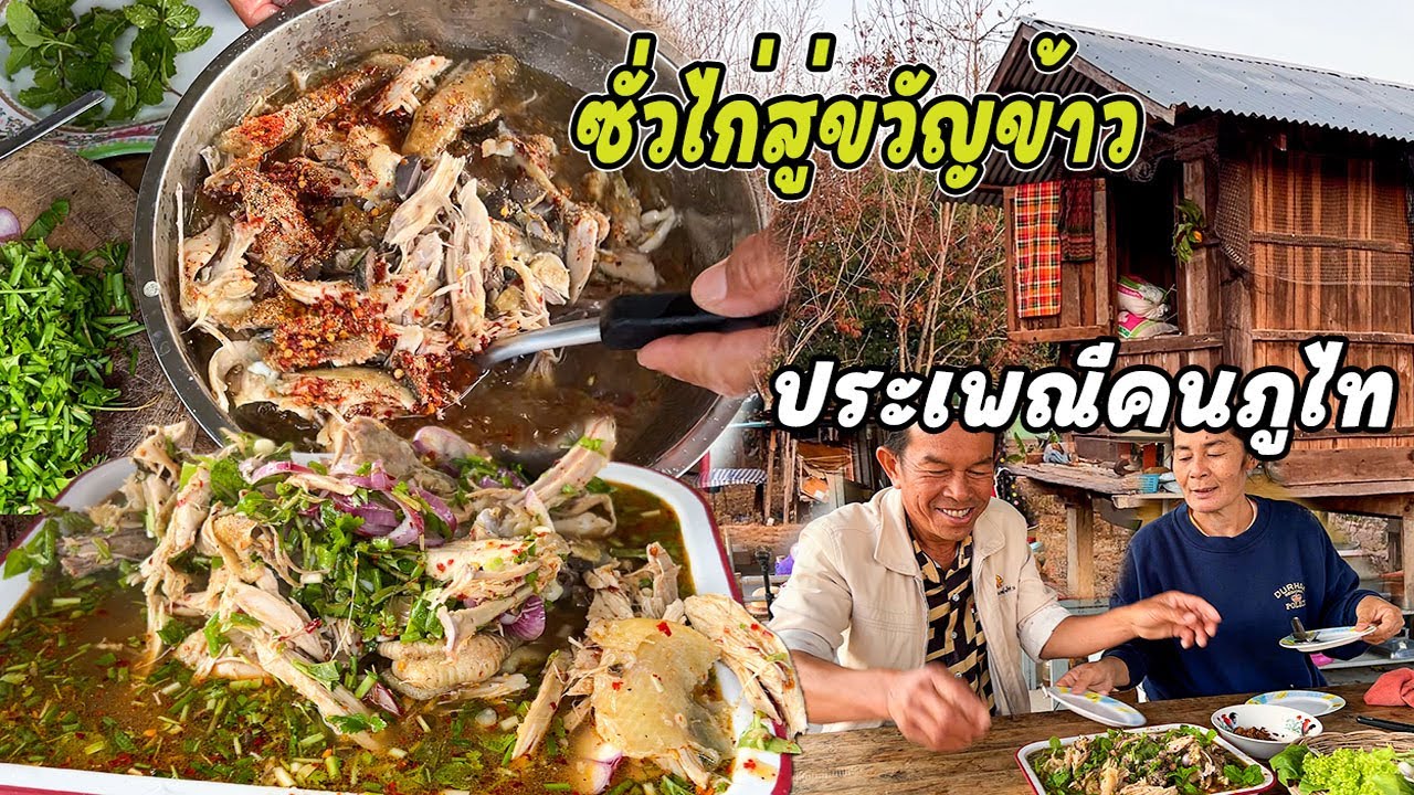 มื้อสันวันดี!! ซั่วไก่บ้าน ประเพณีเอาข้าวขึ้นเล้าของคนภูไท