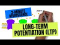 2minute neuroscience longterm potentiation ltp