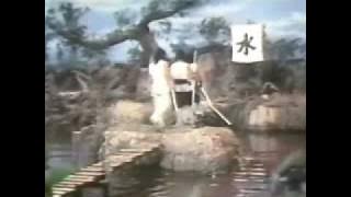 Chinese Super Ninjas: Wood, Water, Fire Elements fight