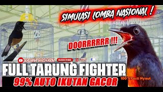 Download lagu SIMULASI LOMBA MURAI BATU