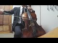 You Raise Me Up　Cello Cover