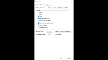How to Make Weird X Accurately Without Black Bar Fill on VEGAS Pro