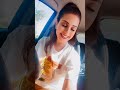 اللي يمشي يمشي عادي 
