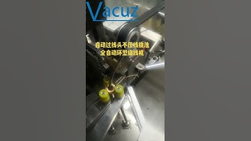 Vacuz Fully Automatic Differential Mode Toroidal Coil Inductor Winding Machine Factory Supply