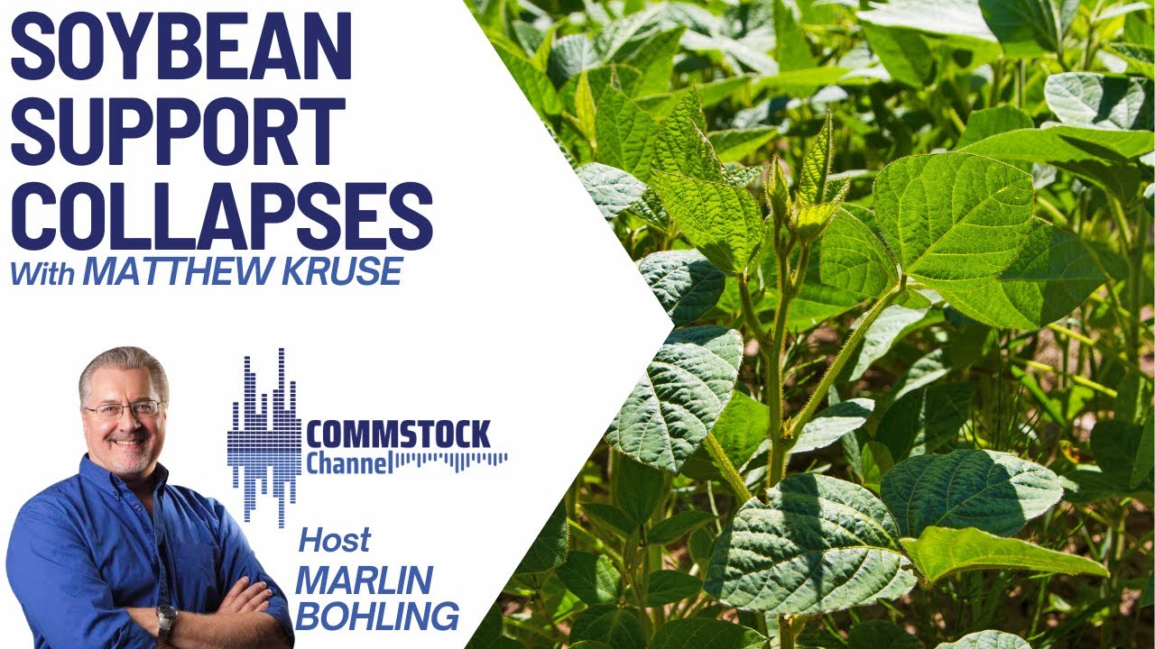 Soybean Support Collapses With Matthew Kruse - YouTube