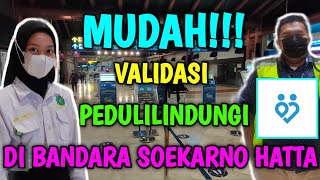 Tes Pcr Di Bandara Soekarno Hatta