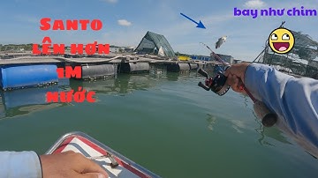 207/ Đang câu Tráp ( hanh ) thì bất ngờ gặp bày cá Chẽm thì phải làm sao ? . Kết quả đầy thùng .