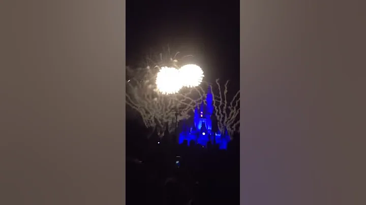 Part 2at animal kingdom