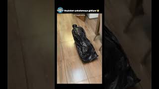 İşte Gerçek Batman