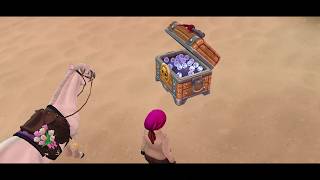 Pirate Treasure Hunt Questline (June 2025) (No Commentary) | Star Stable Online Quest Playthrough screenshot 5