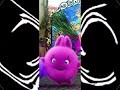 Sunny Bunnies etaH The G Major 100 170 Exports More