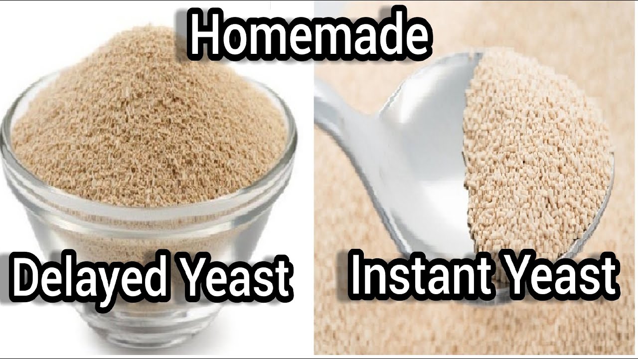 Homemade instant yeast & Delayed yeast recipe/Homemade yeast recipe/How to  prepare yeast at home