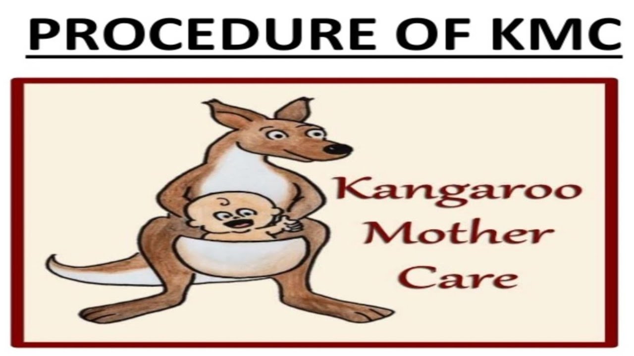 literature review on kangaroo mother care