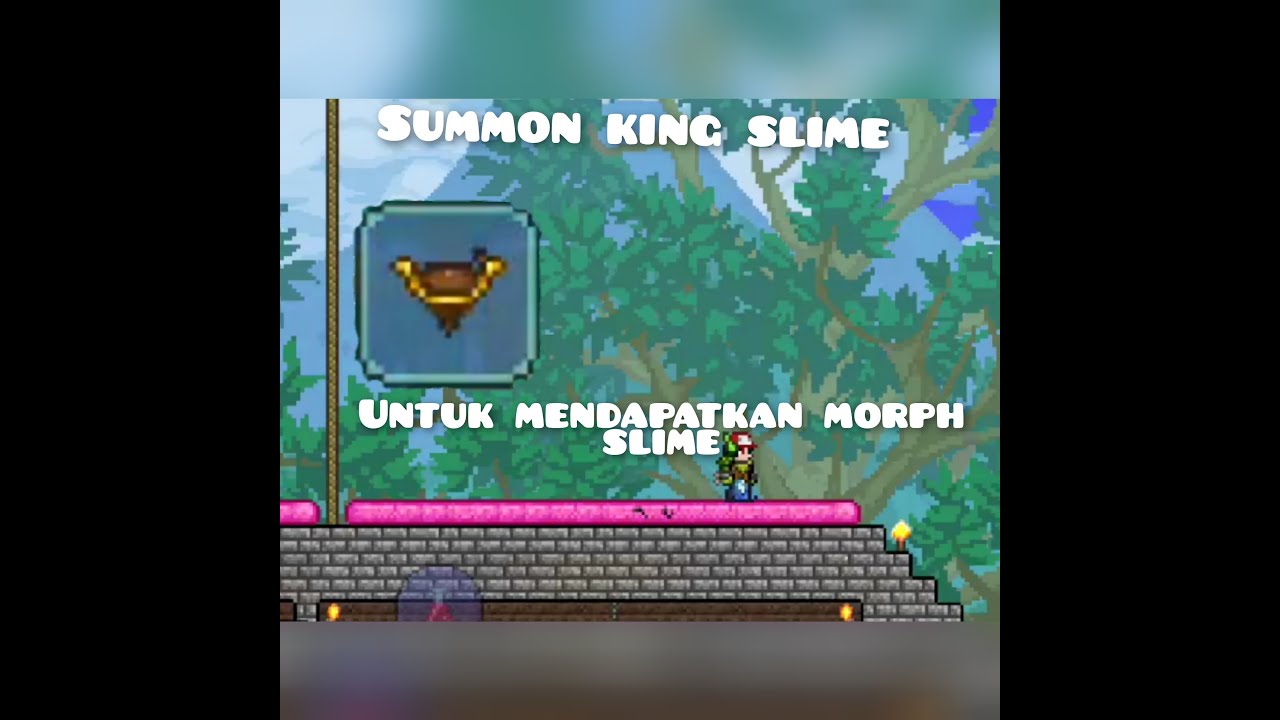 Summon king slime dan mendapatkan morph slime TERRARIA YouTube