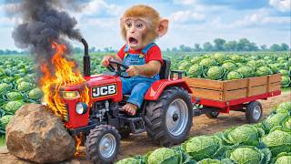 Monkey Nana Drives Tractor Jcb Cabbage Farm Chaos Burning Tractor & Heroic Rescue