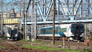 【特急列車同士の綺麗な並走】E257系特急湘南4号・22号