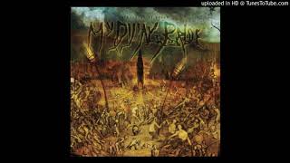 My Dying Bride - The Fool (A Harvest Of Dread 2019).00