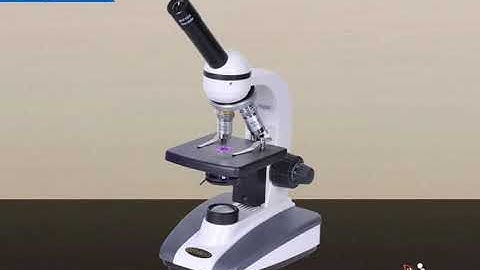 NCERT CBSE Class 8 Science Chapter 8 Cell - Structure and Functions Part 1