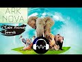  ark nova soundtrack  ambient music for playing the board game ark nova with animal sounds