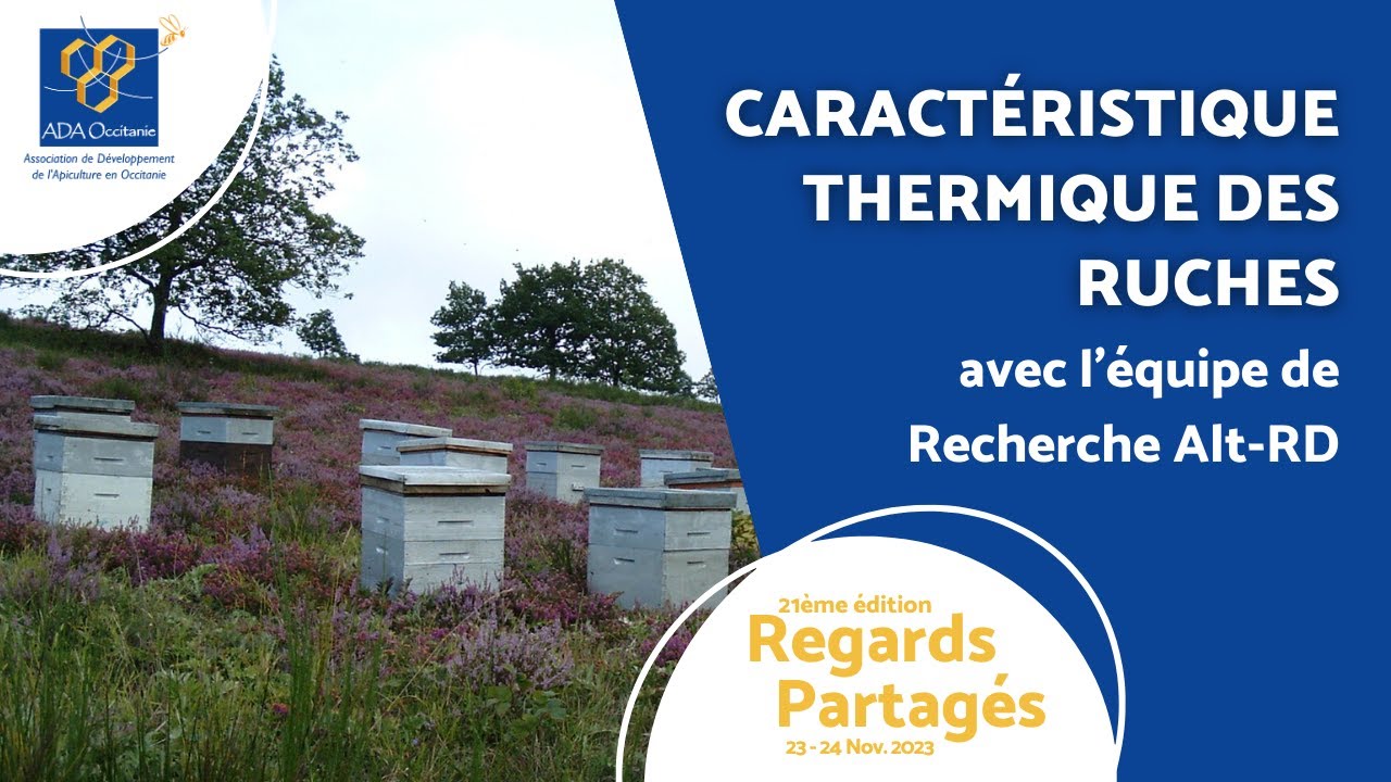 Caractéristique thermique des ruches - Alt-RD