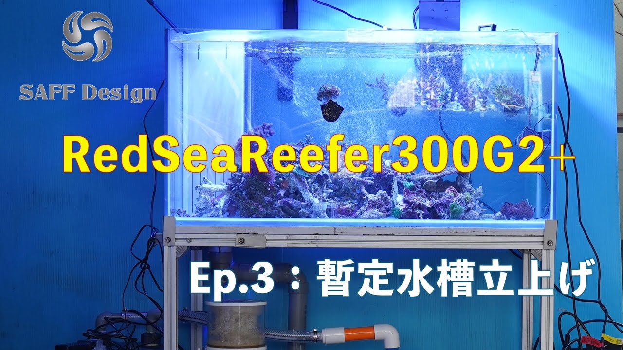 レッドシーリーファー250 レッドシーリーファー250