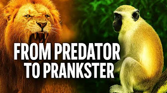 From Predators to Pranksters: Nature’s Full Spectrum!