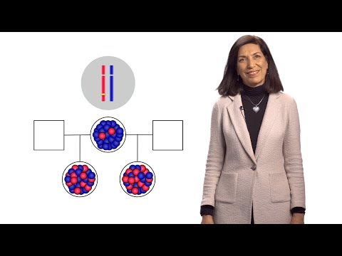 Video: DNA-metylaatiolukija MECP2: Solutyyppi- Ja Erilaistumisvaihekohtainen Proteiinijakauma