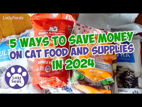 5 Ways To Save Money On Cat Food and Supplies in 2024 – S7 E15 – Lucky Ferals – Life With 11 Cats