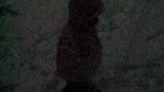 MVI_3047.AVI