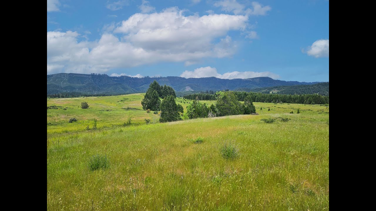 Denn Rd - Camas Valley Oregon