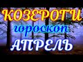 ГОРОСКОП КОЗЕРОГИ НА АПРЕЛЬ МЕСЯЦ. 2021 ГОД