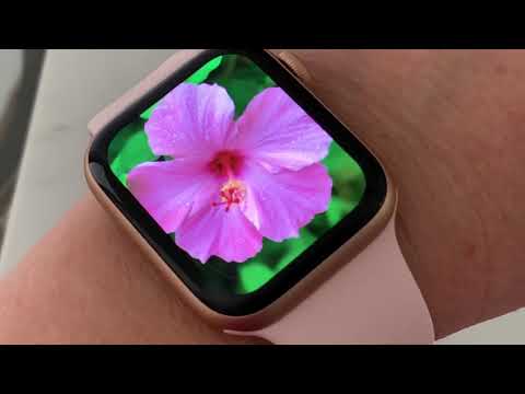 APPLE Watch에서 CUSTOM 시계 모드를 만드는 방법!