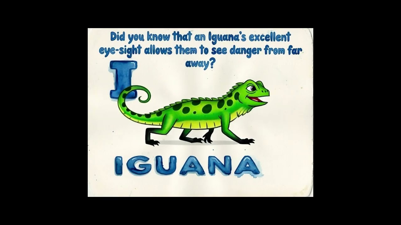 🦁 Did You Know? Fun Animal Facts Flash Cards for Kids!