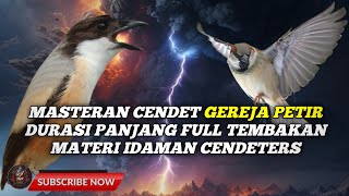 MASTERAN GEREJA PETIR ⚡ Masteran Cendet Petir MAHADEWA 🔴 Gerejanya Nyeret Panjang Asli Ngeri❗