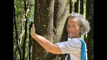 New Zealand 2025 - Havening Conference & Friends