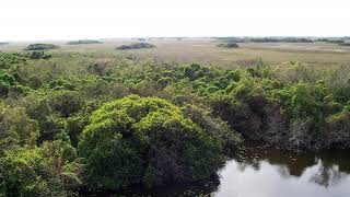 Environment of Florida | Wikipedia audio article