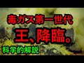 【毒ガス編Ⅲ】降臨。～毒ガス第一世代の王～【仕組みを科学的解説】