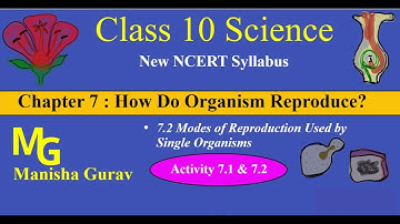 Class 10 | Science | Chapter 7 How Do Organism Reproduce? | Activity 7.1 | Activity 7.1 | New NCERT