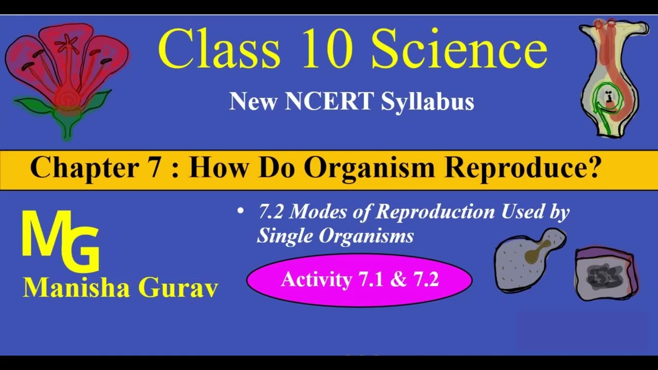 Class 10 | Science | Chapter 7 How Do Organism Reproduce? | Activity 7.1 | Activity 7.1 | New NCERT