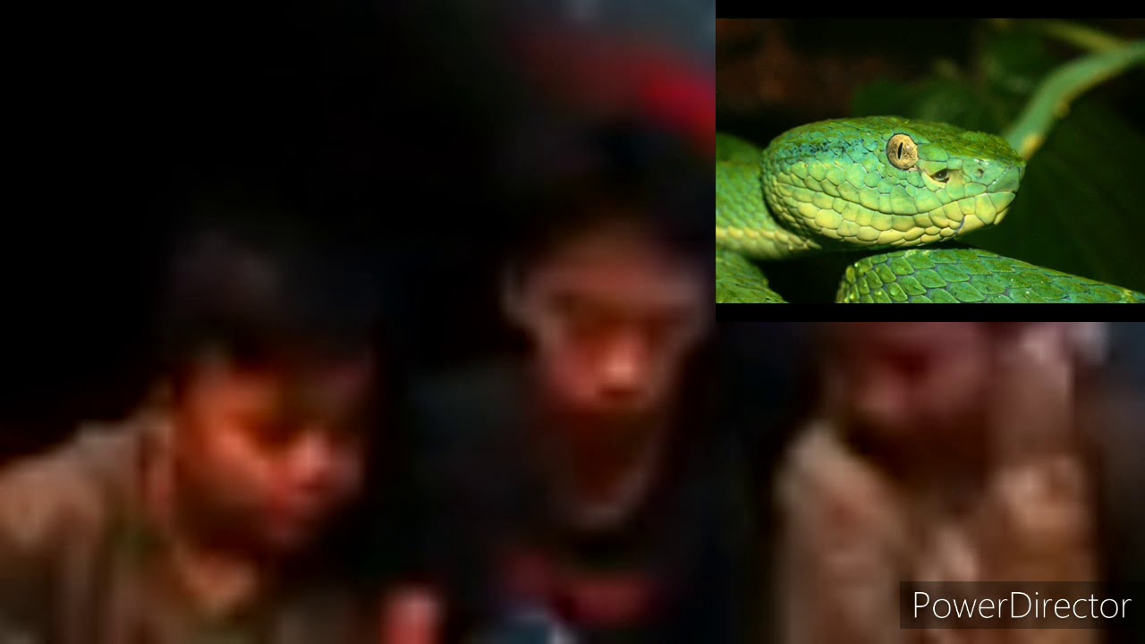 NvN Reacts to Scary Snake Pop Up #2