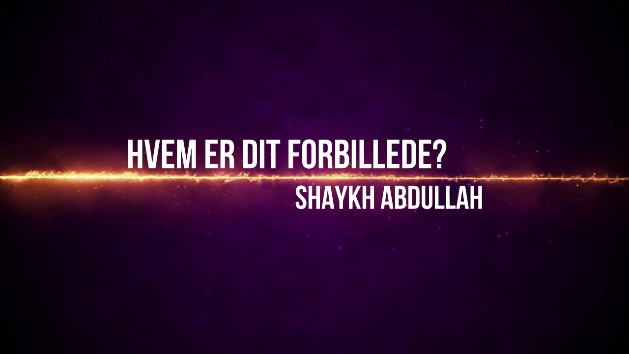 Hvem er dit forbillede?