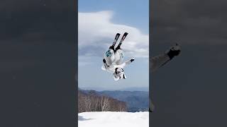 🦊⛷️❄️