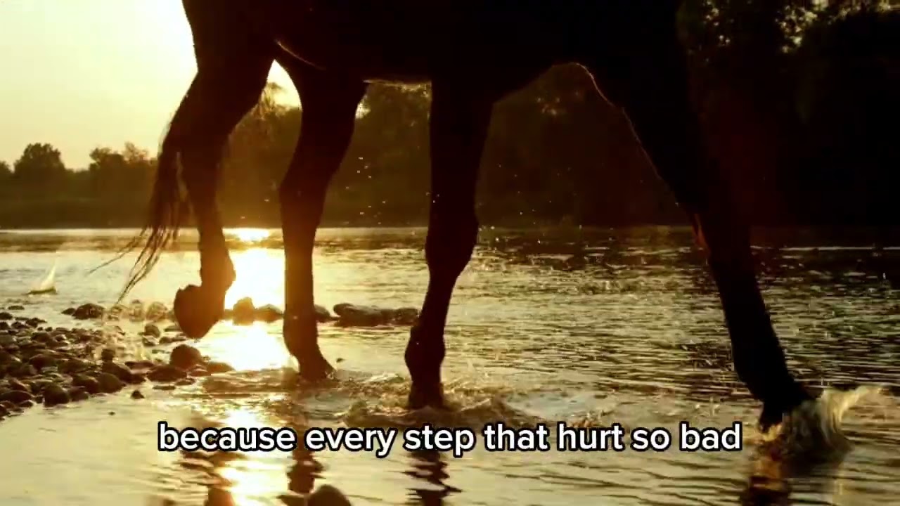 Thank You For This Life 