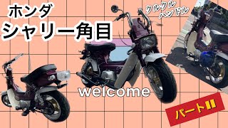 ホンダ シャリー 角目12V （売）（交換） Yahoo!オークション - ホンダ シャリー角目12V 最終型 低走行 ローダウ