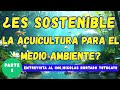 ENTREVISTA AL ING.NICOLAS HURTADO PARTE- 3