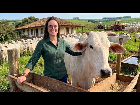 Ana Julia Video