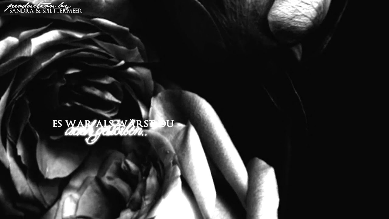 » ich steh' nicht mehr auf, dieses mal bleib ich liegen ! † | & splittermeer