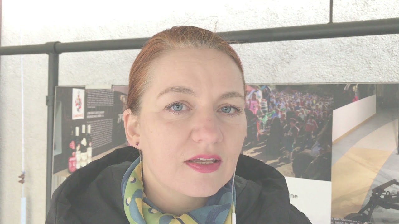 Экскурсия на север Чехии в город Литомержице .