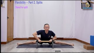 Flexibility Part 2 - Front splits and Side splits